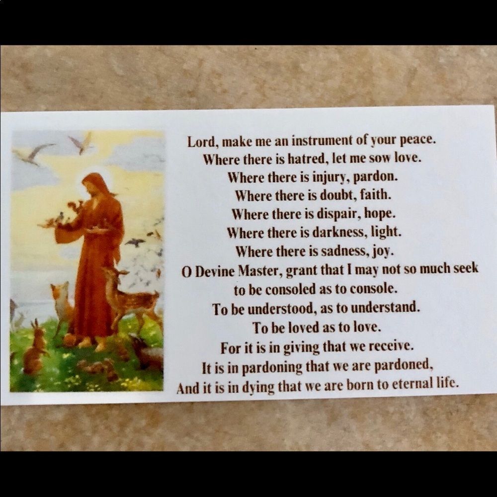 St Francis Pet Medal Tag - Saves Shelter Pets -USA - Picture 3 of 5